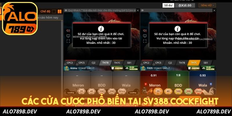 Các cửa cược phổ biến tại SV388 Cockfight