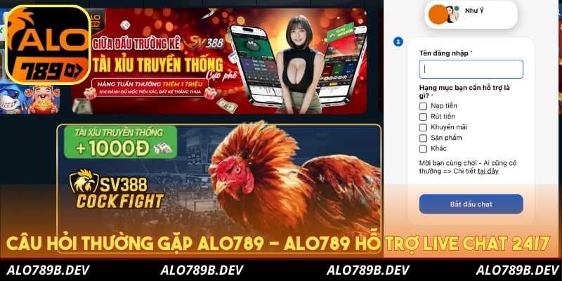 Câu hỏi thường gặp Alo789 - Alo789 hỗ trợ live chat 24/7