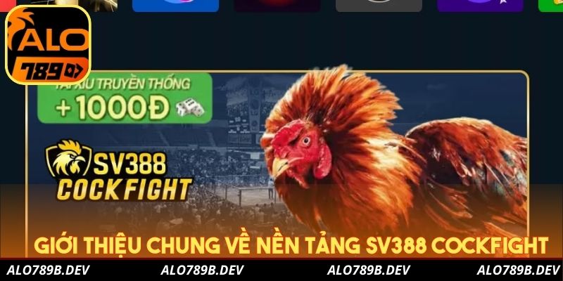 Giới thiệu chung về nền tảng SV388 Cockfight