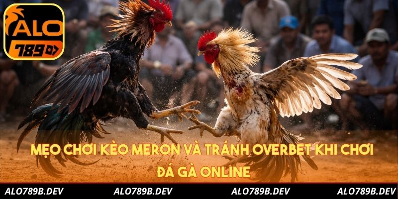 Mẹo chơi kèo meron và tránh overbet khi chơi đá gà online