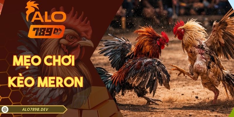 mẹo chơi kèo Meron