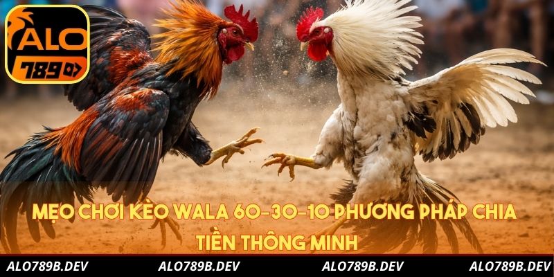 Mẹo chơi kèo wala 60-30-10 phương pháp chia tiền thông minh