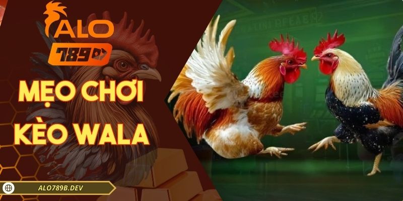 mẹo chơi kèo Wala